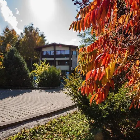 La Mesteceni & Loc Cu Stari De Bine, Adult Only *